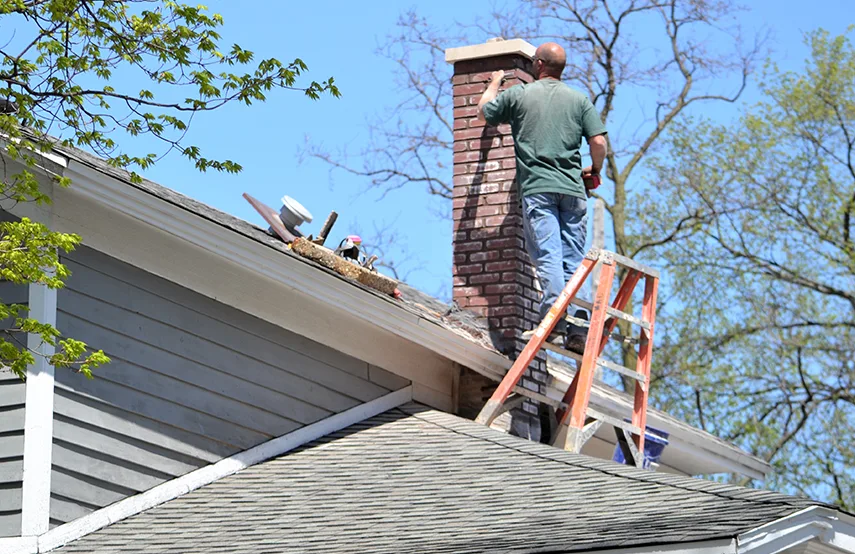 Chimney & Fireplace Inspections Services in Orangevale, CA
